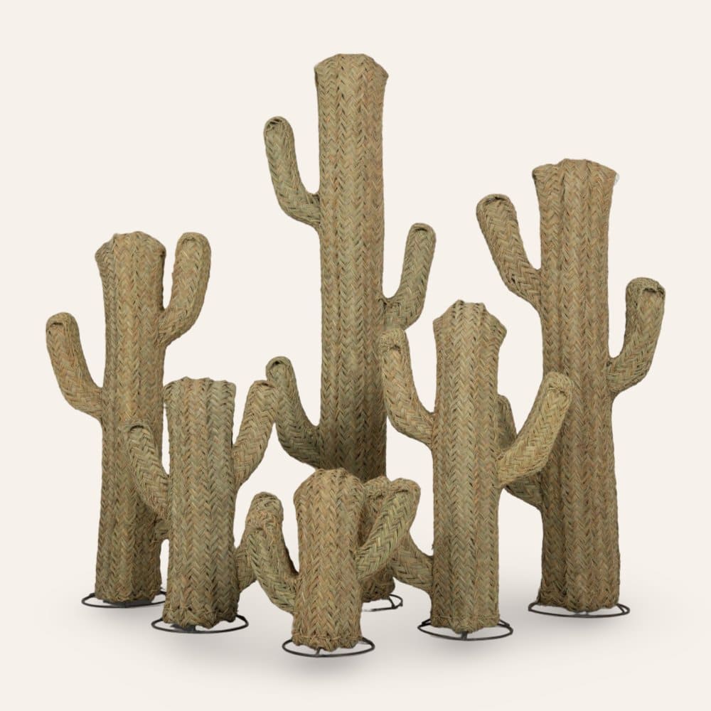 cactus esparto vegetal  set